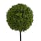 3.5ft. Boxwood Ball Topiary Tree in White Tower Planter